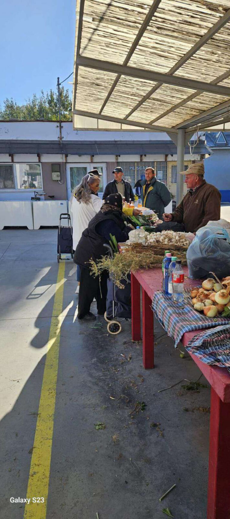 10_POZE_CARVANA_BALS_24.10.2024_-07