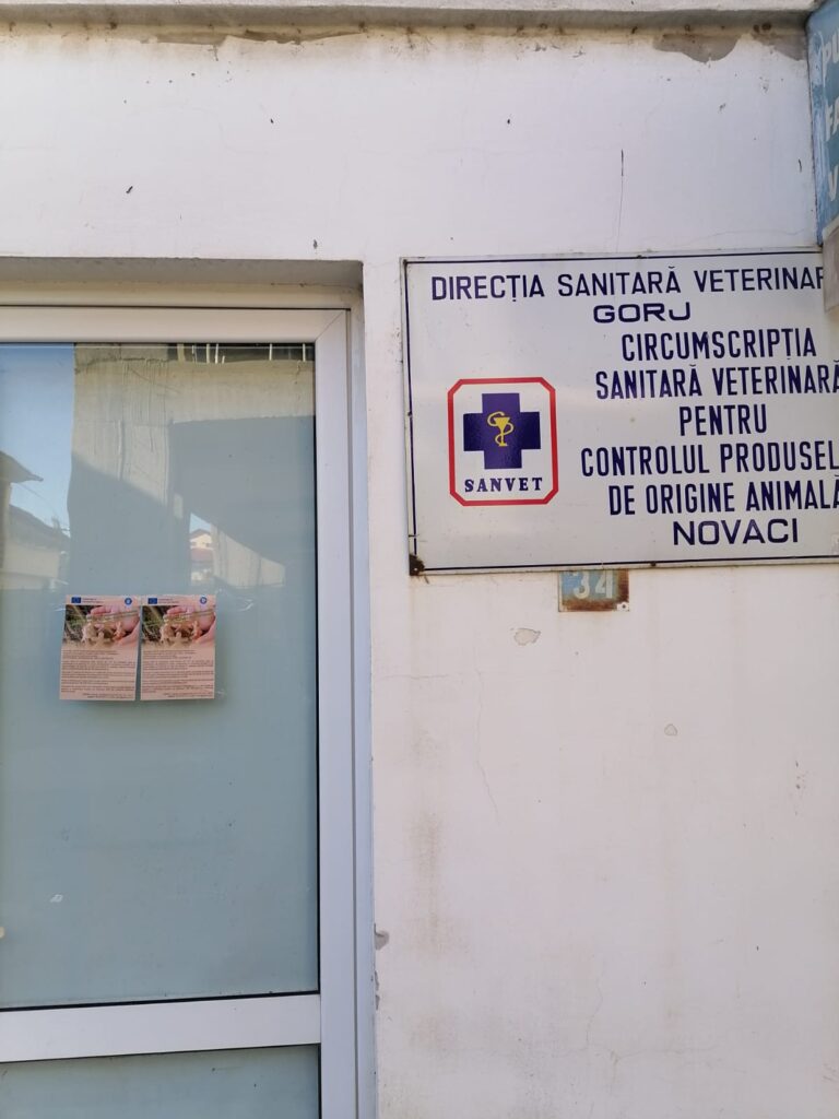 WhatsApp Image 2024-10-22 at 08.42.20