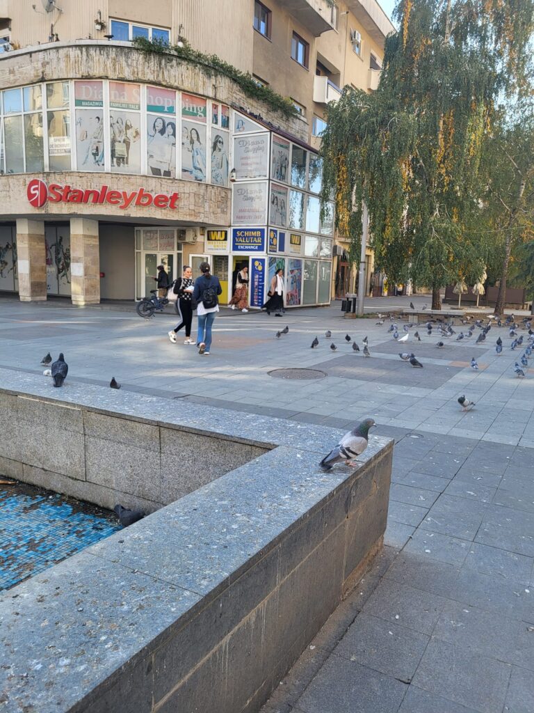 WhatsApp Image 2024-10-25 at 16.53.52