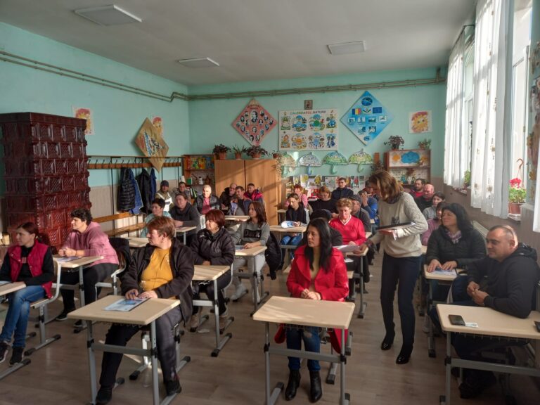 WhatsApp Image 2024-11-19 at 14.13.36 (1)